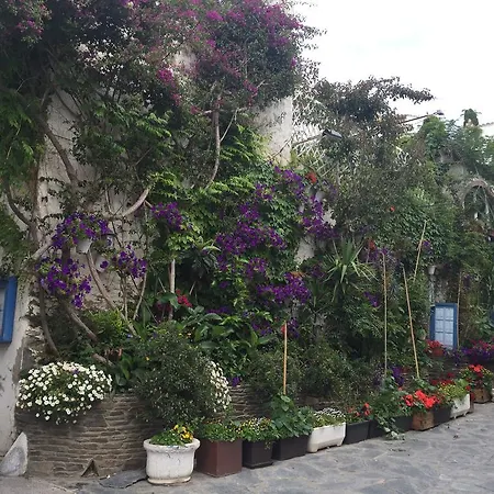 Apartmán Casa Solitari