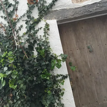 Apartmán Casa Solitari *